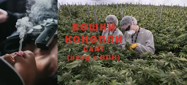 тгк Корсаков