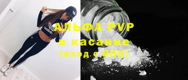 тгк Корсаков