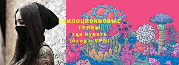 тгк Корсаков